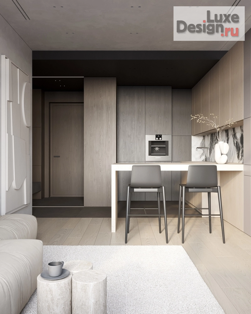 Дизайн интерьера однокомнатной квартиры "Neva Haus" (фото 5)