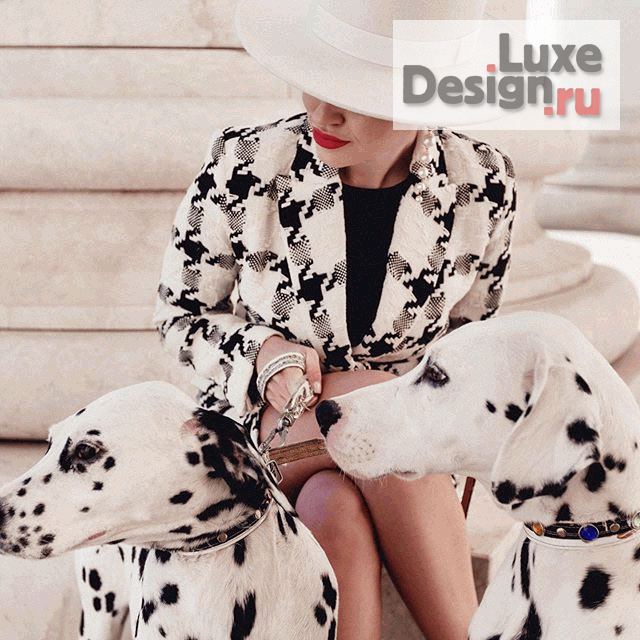 Дизайн интерьера гостиной "Гостиная в стиле контемпорари от Светланы Антонович" (фото 1)