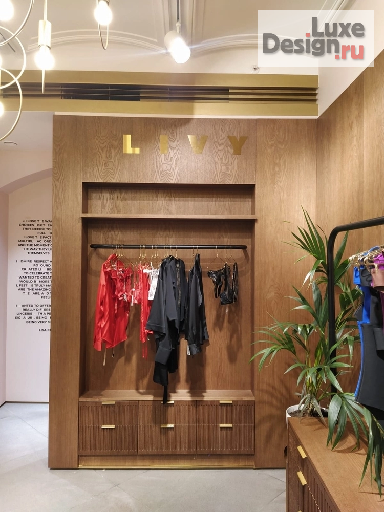 Дизайн интерьера бутика "Интерьер корнера белья " (фото 11)