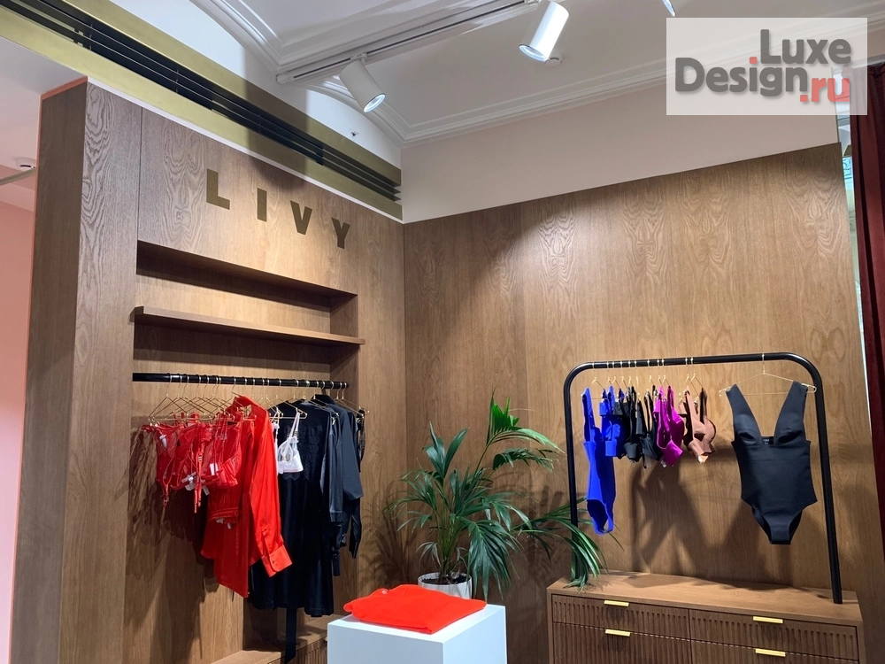 Дизайн интерьера бутика "Интерьер корнера белья " (фото 2)