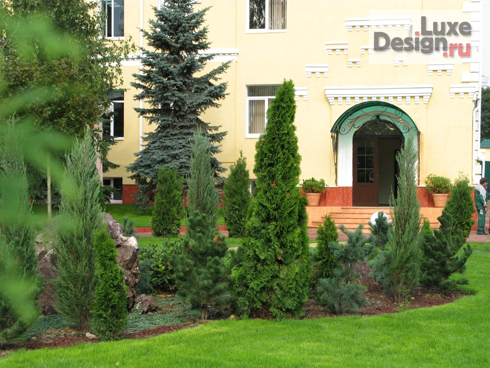 Ландшафтный дизайн "Пансион Воспитанниц Министерства обороны Российский Федерации" (фото 6)