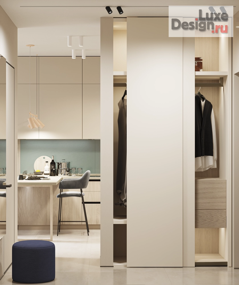 Дизайн интерьера однокомнатной квартиры "Дизайн-проект для 1-комнатной квартиры в Мегаполис-парке" (фото 5)