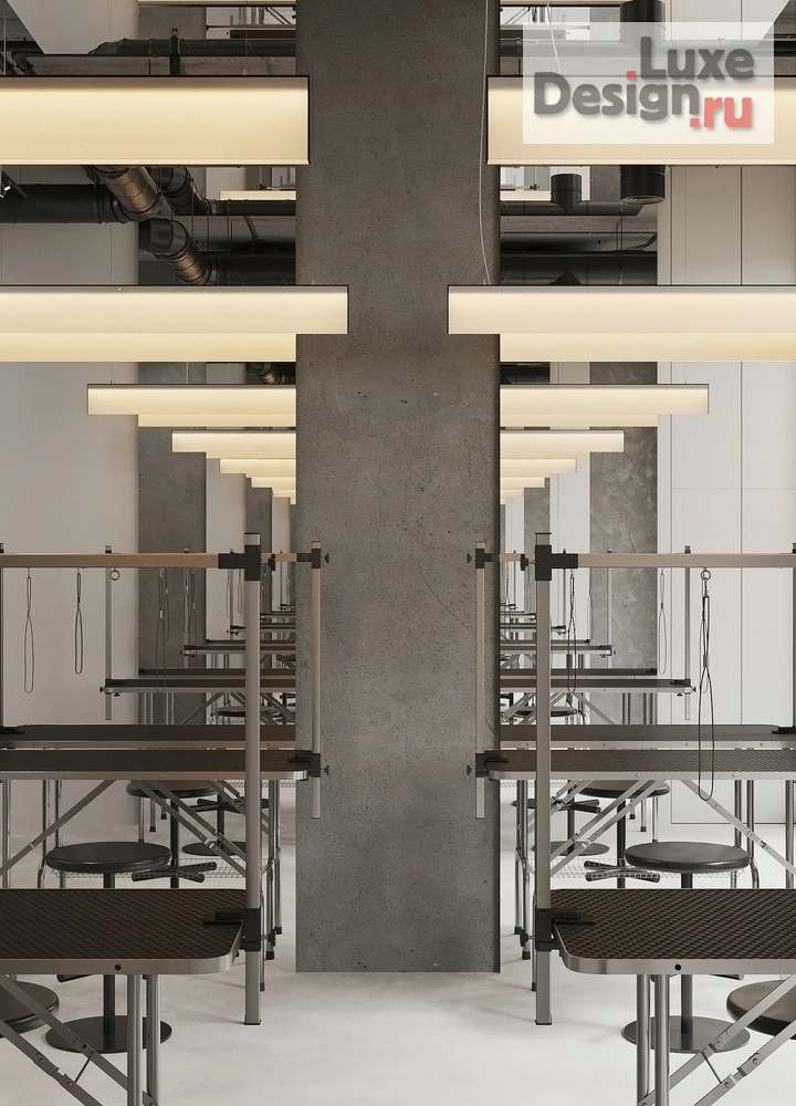 Дизайн интерьера салона красоты "ГРУМИНГ-САЛОН" (фото 7)