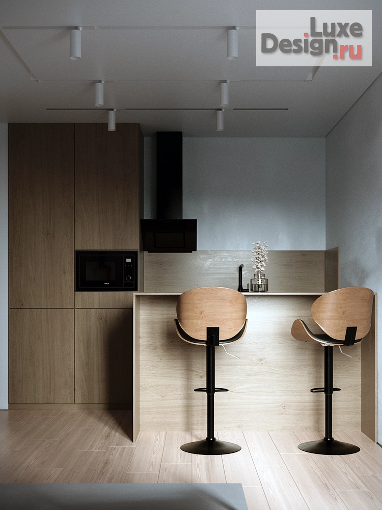 Дизайн интерьера однокомнатной квартиры "Дизайн-проект квартиры 42 м2" (фото 7)