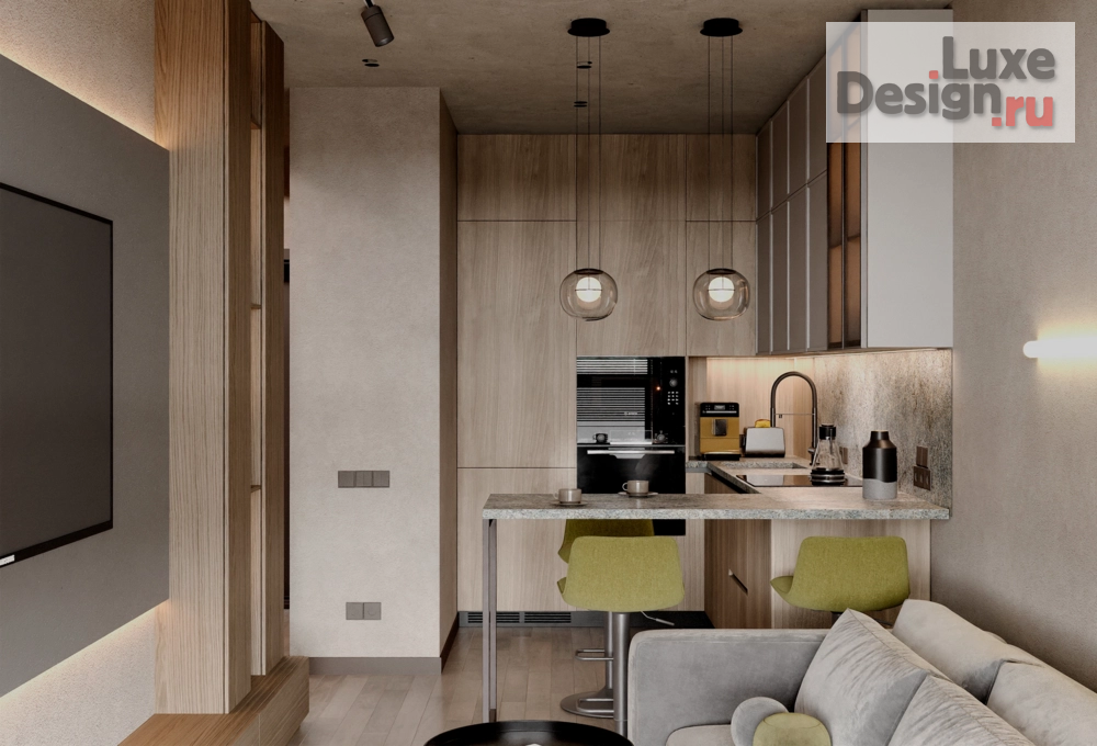 Дизайн интерьера квартиры студии "Студия в современном стиле с нотками брутальности" (фото 2)