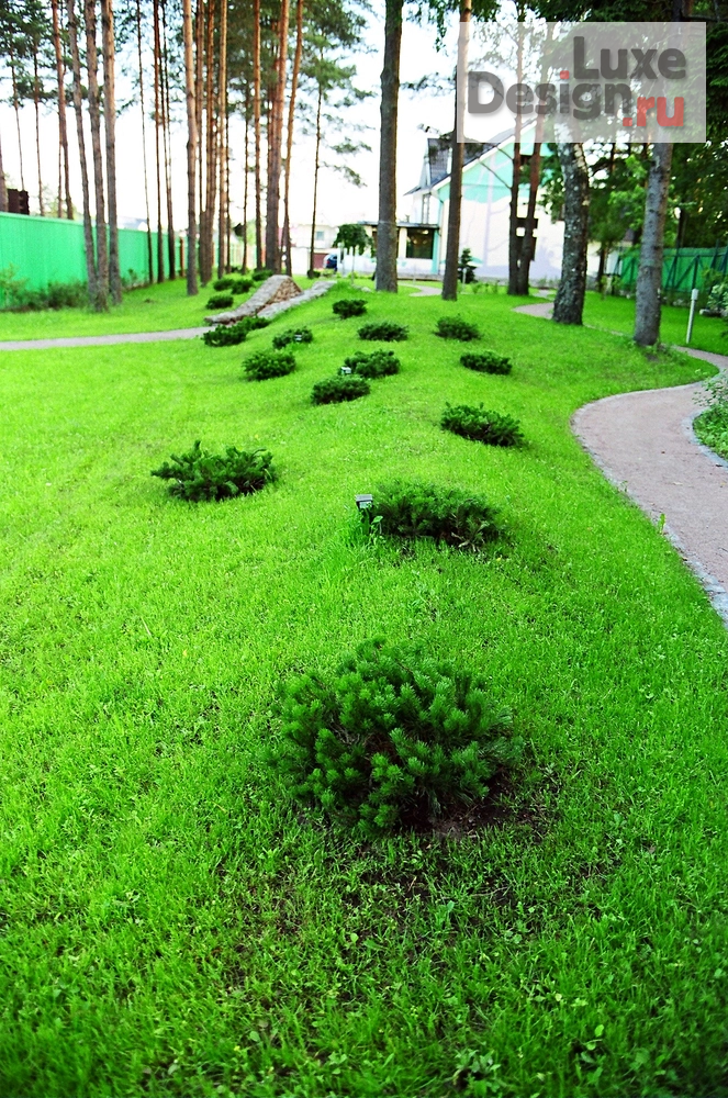 Ландшафтный дизайн "Частный сад большого объёма с гостевым домом для нескольких поколений одной семьи" (фото 7)