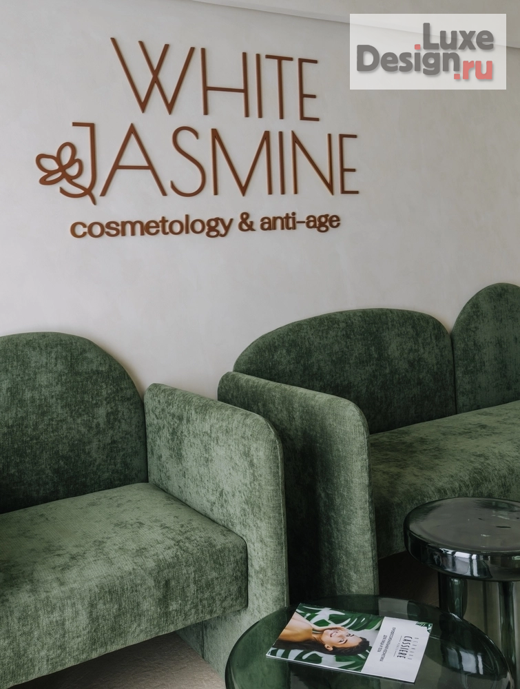 Дизайн интерьера салона красоты "Клиника эстетической медицины White Jasmine" (фото 2)