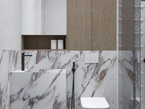 Дизайн интерьера ванной в Москве "Санузлы апартаментов в Дубаи"