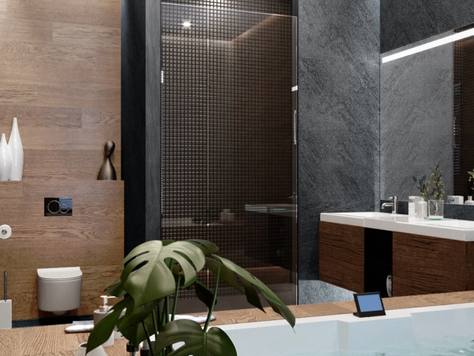 Дизайн интерьера пентхауса в Москве "ванная в доме"