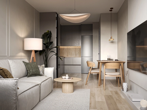 Дизайн интерьера в Москве "Дизайн проект 1+ комнатной квартиры "