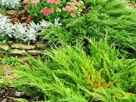 Дизайн интерьера